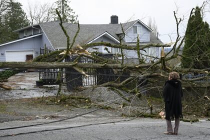 What Is a Bomb Cyclone? Updates on Pacific Northwest Weather Forecast – Hollywood Life